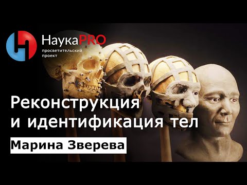 Видео: Реконструкция и идентификация тел | Лекции по криминалистике – криминалист Марина Зверева | Научпоп