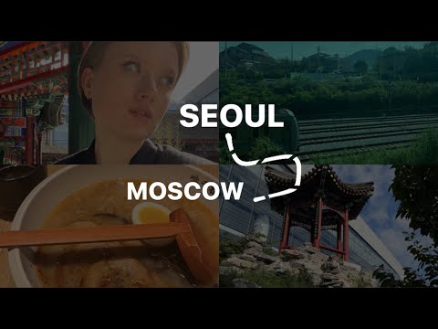 Видео: ИЗ СЕУЛА В МОСКВУ // встреча с фотографом из Кореи // ночь в аэропорту и обзор на Daxing airport