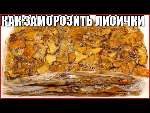 Видео: Как правильно заморозить лисички на зиму, чтобы не горчили