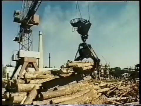 Видео: Костопільський ДБК