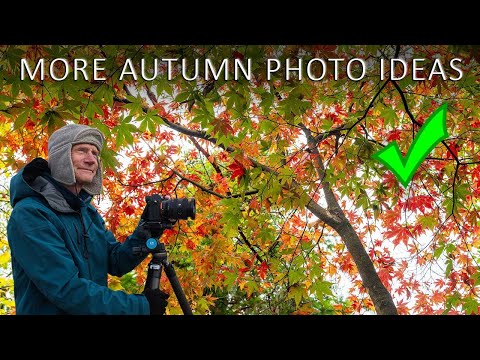 Видео: БОЛЬШЕ ИДЕЙ ДЛЯ ОСЕННИХ ФОТОГРАФИЙ