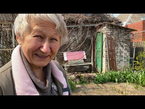 Видео: Сеянцы пионов Ворошиловой А.Б. / Сад Ворошиловой