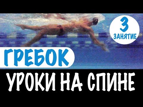 Видео: ПОЧЕМУ ПЛАВАНИЕ КРОЛЕМ БЫСТРЕЕ