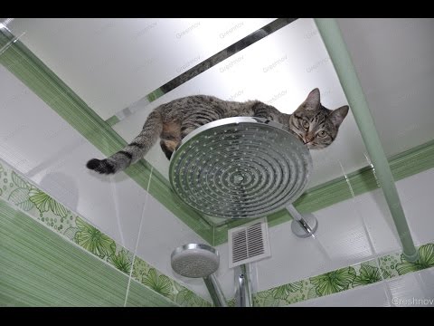 Видео: Фотографии водопровода и сантехники в доме серии П-30