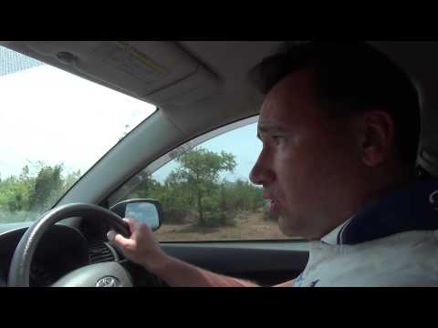 Видео: Аренда авто на Шри Ланке