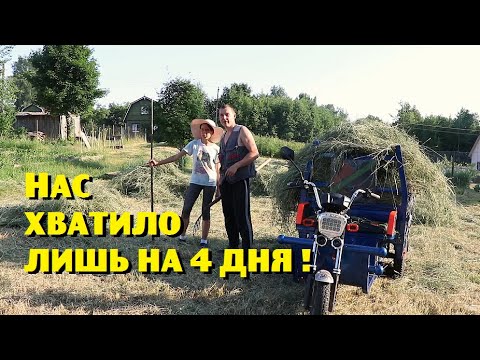Видео: НАС ХВАТИЛО ЛИШЬ НА 4 ДНЯ настоящей деревенской жизни !