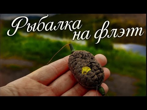 Видео: Поклевки одна за другой, осенняя рыбалка на флэт кормушки #карась #carp #flat #рыбалка #fishing
