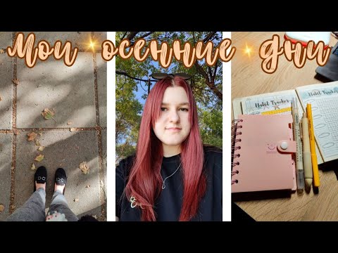 Видео: Мои осенние дни | Vlog | Влог | Уборка| Бисероплетение | Плету из бисера | Алмазная мозаика | Планер