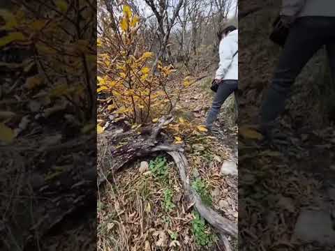 Видео: 3 ноября 2025 г.Пятигорск.Биштау