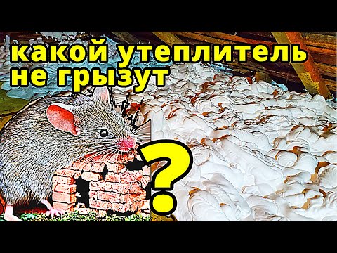 Видео: Какой утеплитель не грызут мыши ?