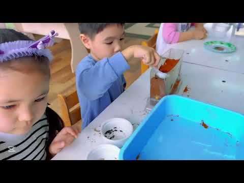 Видео: Балалармен бірге көкөністерді гидрологиялық әдіспен егу.