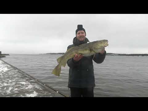Видео: ТАКИЕ МОМЕНТЫ СЛОЖНО ЗАБЫТЬ!! Рыбалка в Норвегии с берега!! ПРИМАНКИ, снасти. треска.