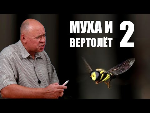 Видео: Муха и вертолёт ● 2
