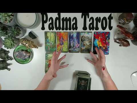 Видео: БЛИЗНЕЦЫ ♊️ ВЫ АЛХИМИК! Бонусное гадание на картах Таро 🔮💫