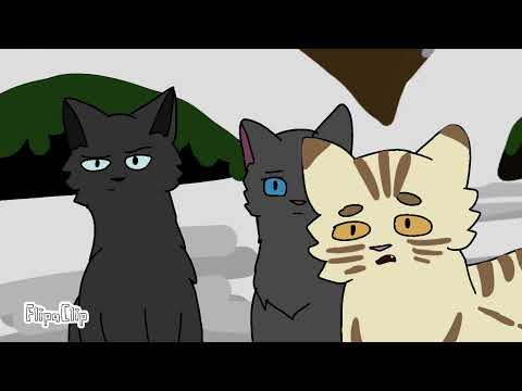 Видео: Дикие коты. "Рождение трёх котят". Часть 1.