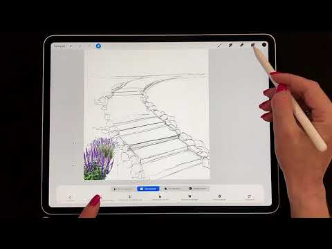 Видео: Скетч ландшафта на Ipad. Лаванда. часть 1