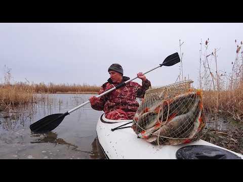Видео: ТОННА РЫБЫ, АЖ ВЫЛЕТАЕТ. ЛОВИ РУКАМИ, ОКУНЯ ТЬМА. ТАКОГО НЕ БЫЛО. Рыбалка на зимнюю удочку с каяка