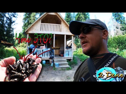 Видео: ЖЕСТЬ, вскрыли его, а там....😲😱🤢!!! Рыбалка в ДИКОЙ ТАЙГЕ!!! Изба, баня и таёжный быт!!! 2 День