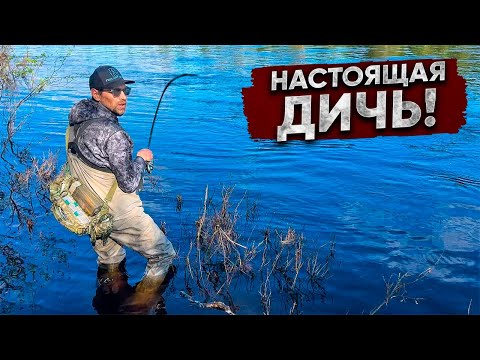 Видео: Они ЛОМАЮТ снасти и рвут ШНУРЫ / ЗАБРОСКА на дикий СЕВЕР / ДОБЫЛ приготовил на КОСТРЕ! Кольский!