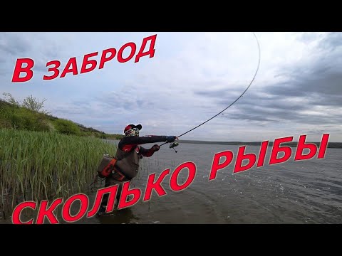 Видео: МЕЧТАТЬ О ТАКОЙ РЫБАЛКЕ..ПРИМАНКИ ОТРАБОТАЛИ НА 100%. РЫБАЛКА 2021