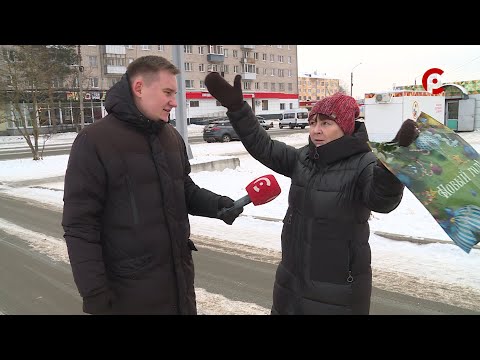 Видео: Что вижу, то пою. Выпуск №204
