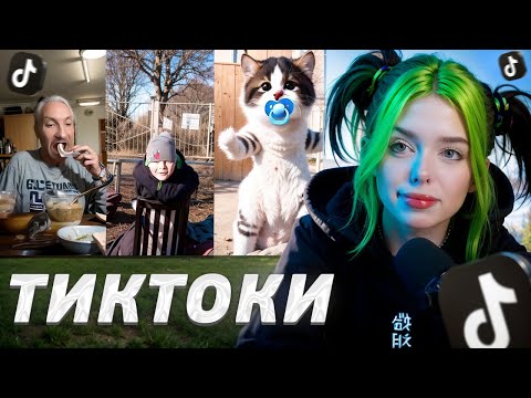 Видео: ХЕБЕШКА СМОТРИТ ТИКТОКИ ПОДПИСЧИКОВ