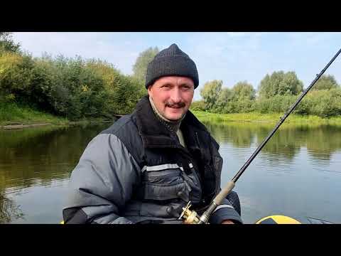 Видео: Ловля на джеркбейты