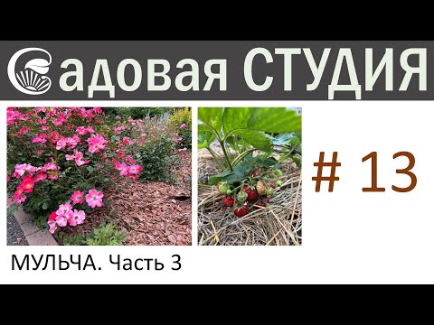 Видео: Все о мульчировании. Часть 3 Трудности мульчирования