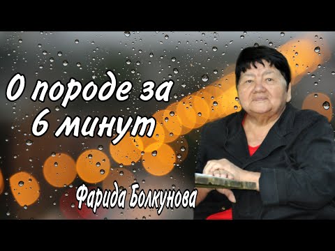 Видео: Интересно о собаках / Мнение Фариды Болкуновой