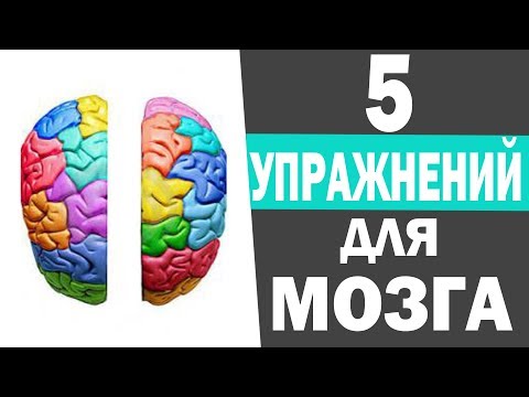 Видео: Развитие мозга ребенка. Развитие межполушарного взаимодействия