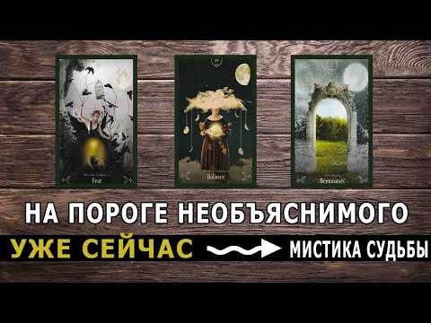 Видео: Вот-Вот сбудется! Когда совсем не ожидаешь Таро прогноз