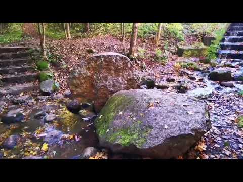 Видео: Осенняя Сергиевка. Autumn. Sergievka.