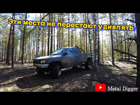 Видео: Впервые после зимы на любимые торфяники! Мы нашли не всё!