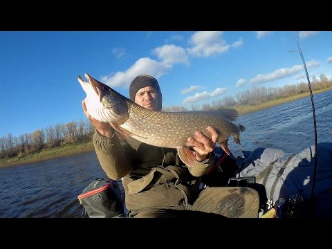 Видео: Осенний жор в самом разгаре река Сосьва 6 .10 .2024