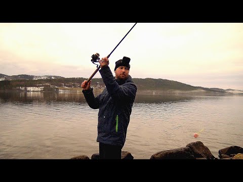 Видео: ВОТ ЭТО Я УДАЧНО ВЫШЕЛ!!! Рыбалка в Норвегии ЗИМОЙ с берега!! Люр, ТРЕСКА.