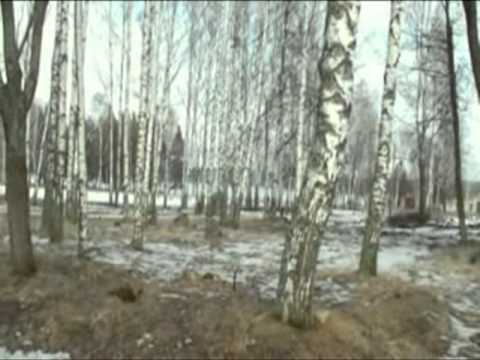 Видео: 350 пдп Боровуха  30 лет спустя 2008г. ВДВ.   VDV