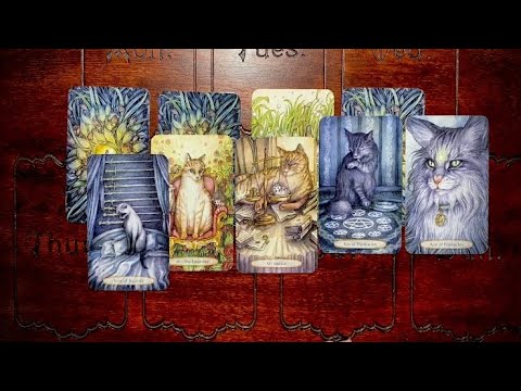 Видео: КАРДИНАЛЬНЫЙ ПЕРЕЕЗД В ВАШЕЙ ЖИЗНИ! СОСТОИТСЯ ЛИ ПЕРЕЕЗД? Онлайн гадание на Таро