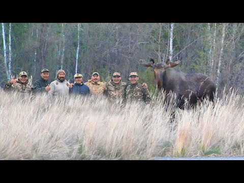 Видео: ОХОТА НА ТУРПАНА НА КОЛЫМЕ 2023. 5 СЕРИЯ. HUNTING FOR VELVET SCOTER IN SIBERIA. KOLYMA. PART 5