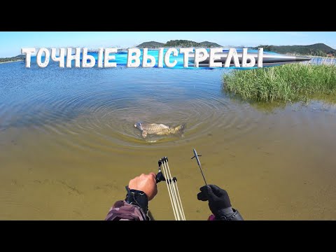 Видео: Рыбалка с Рогаткой, точные выстрелы с рогаткой, точные стрелы