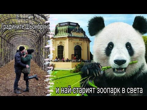 Видео: Градините Шьонбрун и най-старият зоопарк в света