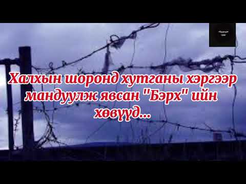 Видео: Халхын шоронд хутганы хэргээр мандуулж явсан "Бэрх" ийн хөвүүд...