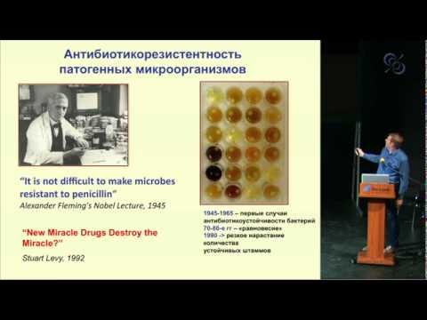 Видео: Бактериофаги и фаговая терапия