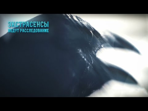 Видео: Мужчина-ворон преследует Елену – Экстрасенсы ведут расследование 2021 | НА РУССКОМ ЯЗЫКЕ