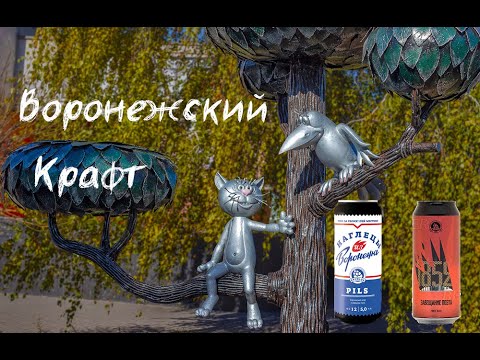 Видео: Воронежский крафт