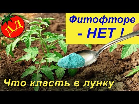 Видео: ЧТО КЛАСТЬ В ЛУНКИ ПРИ ПОСАДКЕ