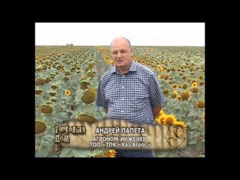 Видео: Нулевая технология.No-till.