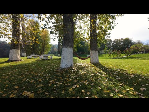 Видео: Къмпинг Арда   2025 година