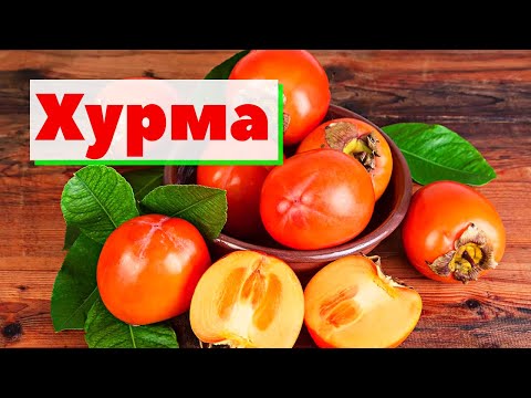 Видео: Хурма | Как это сделано | Kaki/Persimmon