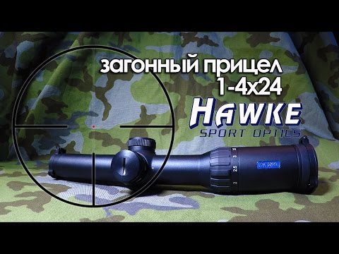 Видео: "Загонный" прицел Hawke Endurance 30 1-4х24 | Магазин ALLAMMO.RU