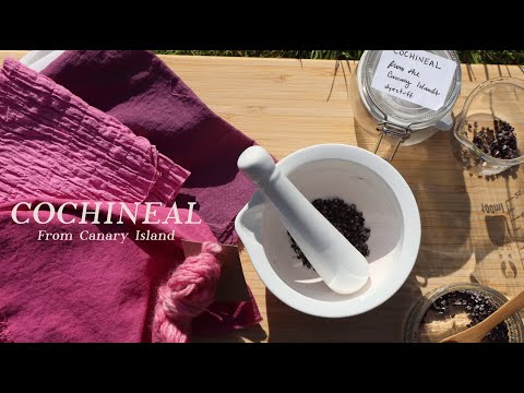 Видео: Как НАТУРАЛЬНО покрасить ткань в красный и розовый цвет с помощью КОШИНИЛИ | Хлопковая ткань | на...